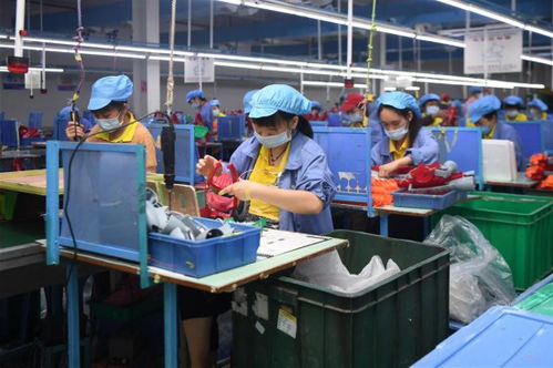 生产玩具 脱贫致富